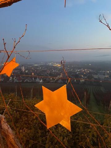 Chez Schumi Villa Kirchheim Dış mekan fotoğraf