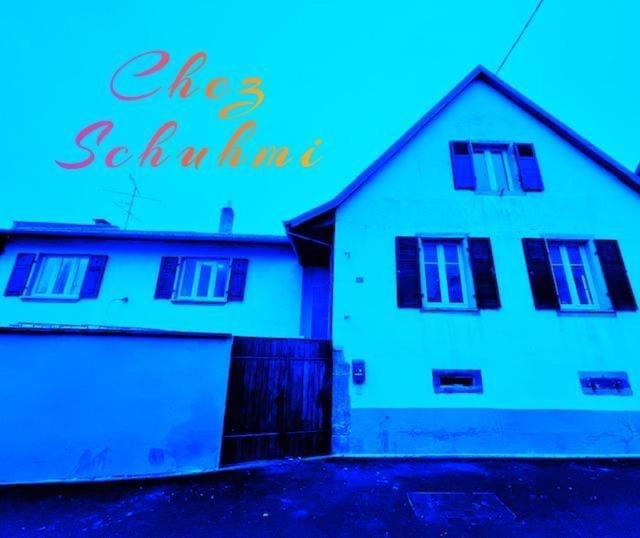 Chez Schumi Villa Kirchheim Dış mekan fotoğraf